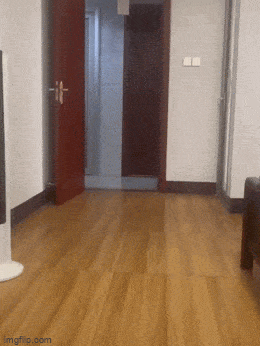 Подборка гифок -  05.11.2025