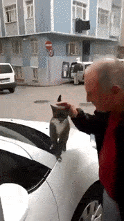 Подборка гифок -  05.11.2025