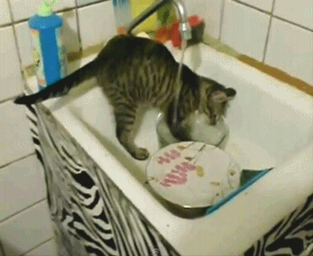 Подборка гифок -  05.11.2025