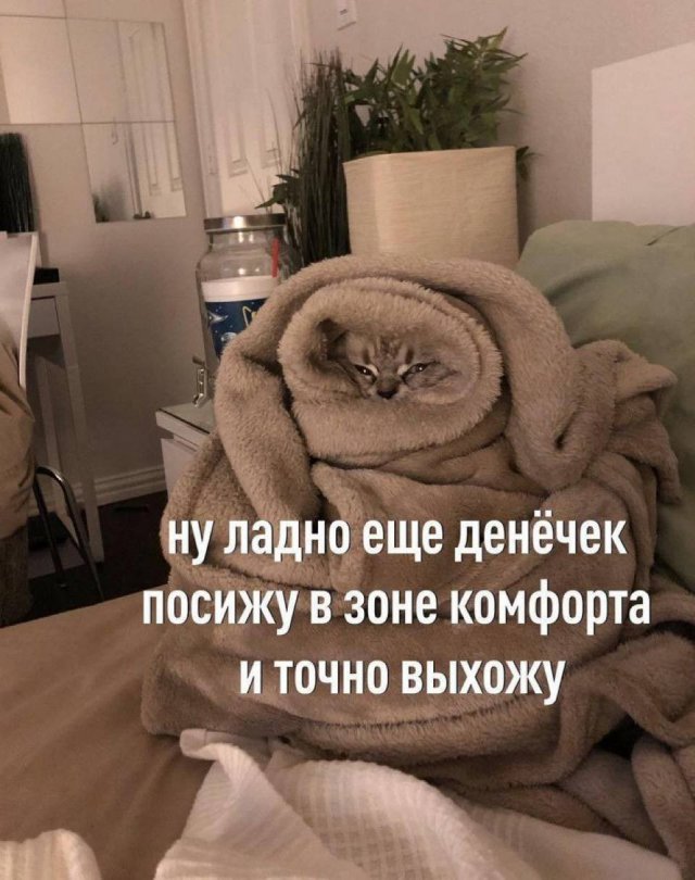 Лучшие шутки и мемы из Сети - 05.11.2025