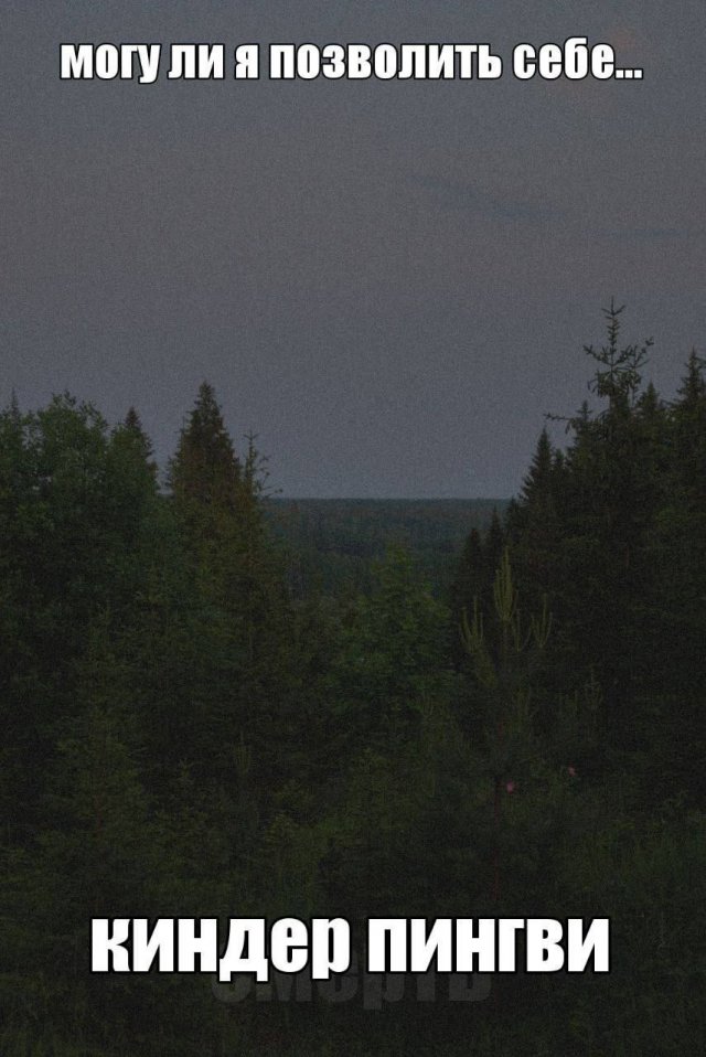 Лучшие шутки и мемы из Сети - 05.11.2025