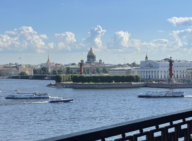 В Петербурге за 1,1 млрд продают квартиру в &quot;сталинке&quot;