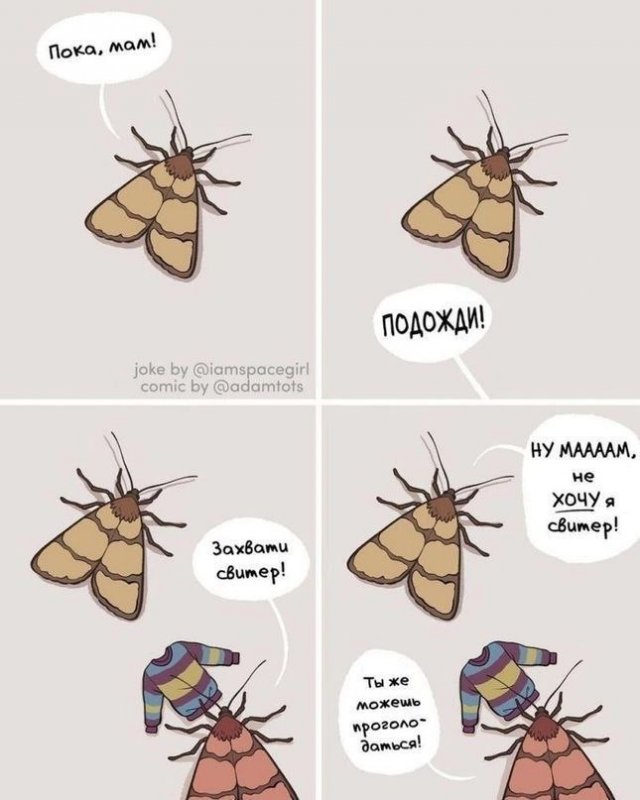 Смешные мемы - 06.11.2025