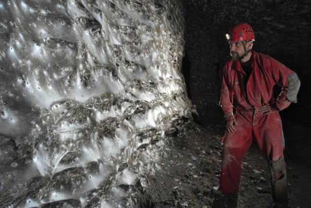 Крупнейшую в мире паутину с населением 111 000 пауков нашли в пещере на границе Албании и Греции