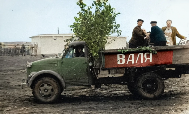 Перевозка приданого невесты в дом молодых. Кустанайская обл., Федоровский р-он, пос. Цабелевка, 1960 год. Перевозка приданого невесты в дом молодых. Кустанайская обл., Федоровский р-он, пос. Цабелевка, 1960 год.