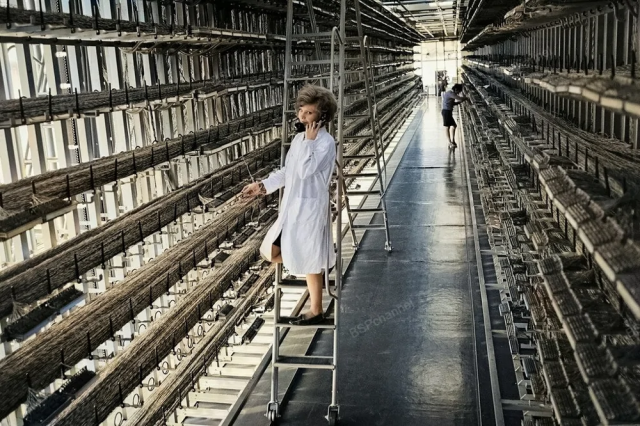 Монтер-комсомолка Люда Исаева проверяет соединения линейного кабельного оборудования, 1973 год. Монтер-комсомолка Люда Исаева проверяет соединения линейного кабельного оборудования, 1973 год.