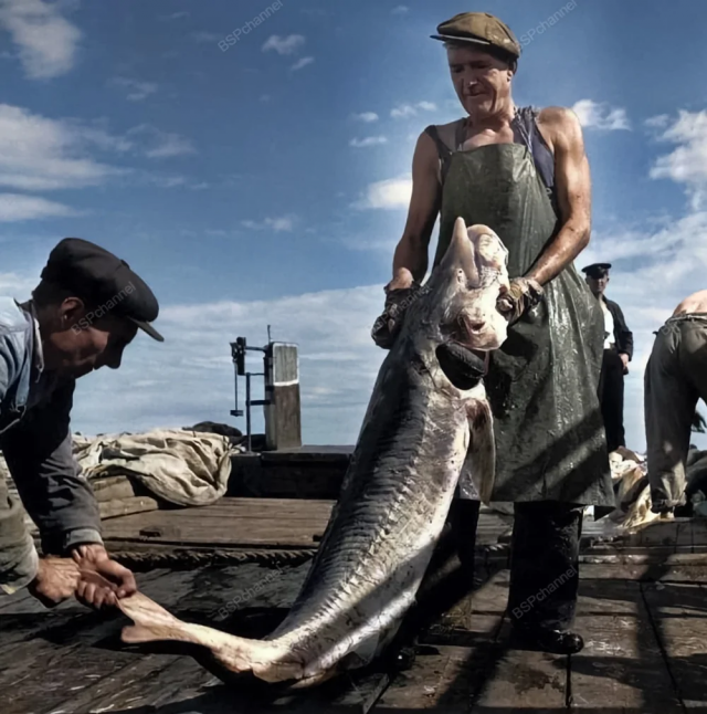 Сталинград, 1947 год. Сталинград, 1947 год.