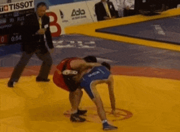 Подборка гифок -  06.11.2025