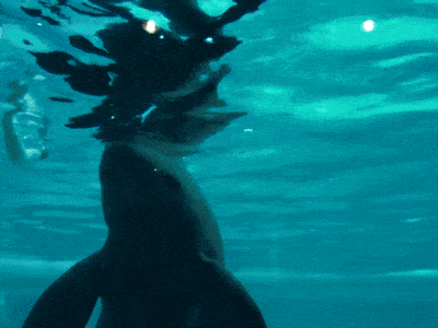 Подборка гифок -  06.11.2025