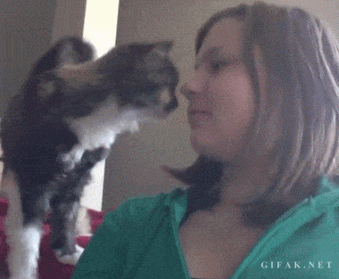 Подборка гифок -  06.11.2025