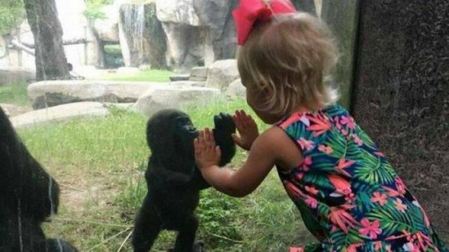 Подборка картинок. Вечерний выпуск - 06.11.2025