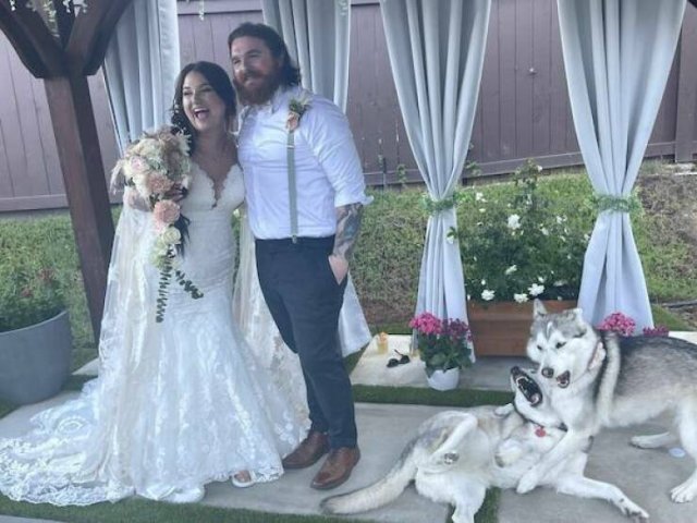 Подборка картинок. Вечерний выпуск - 06.11.2025