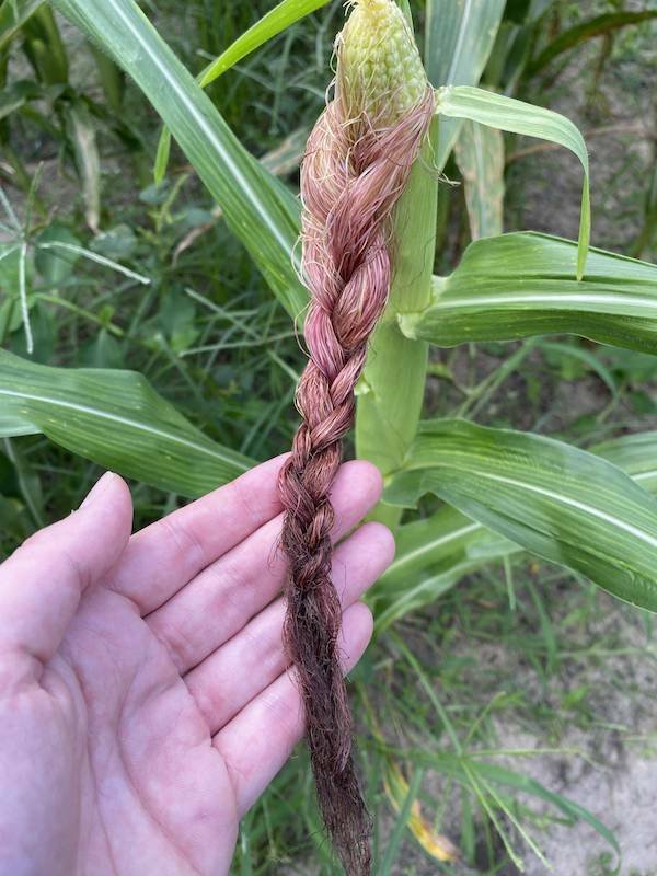 Подборка картинок. Вечерний выпуск - 06.11.2025