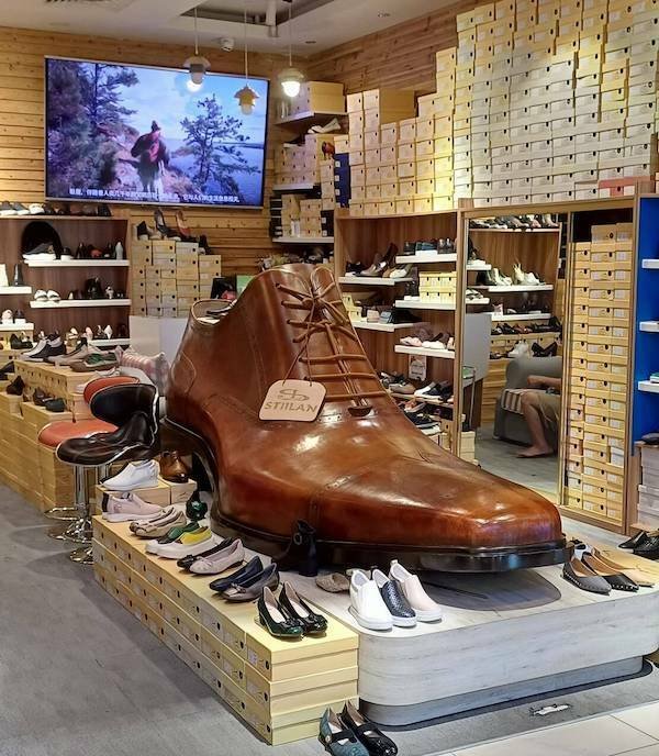 Подборка картинок. Вечерний выпуск - 06.11.2025