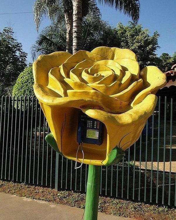 Подборка картинок. Вечерний выпуск - 06.11.2025