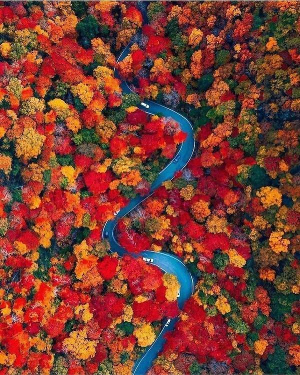 Подборка картинок. Вечерний выпуск - 06.11.2025