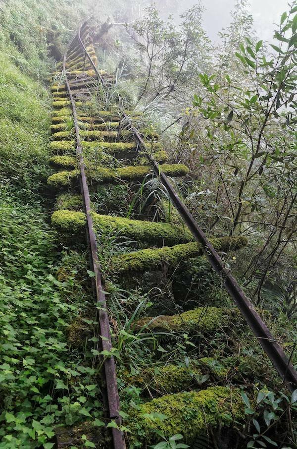 Подборка картинок. Вечерний выпуск - 06.11.2025
