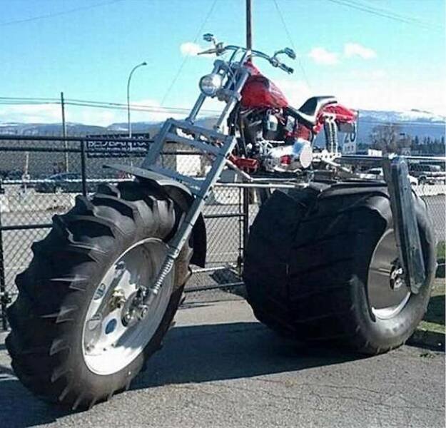 Подборка картинок. Вечерний выпуск - 06.11.2025