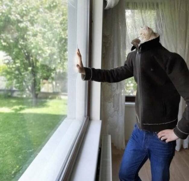 Подборка картинок. Вечерний выпуск - 06.11.2025