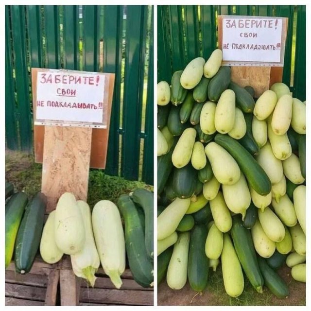 Лучшие шутки и мемы из Сети - 06.11.2025