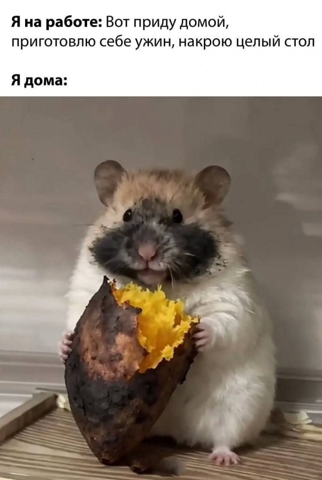 Лучшие шутки и мемы из Сети - 06.11.2025