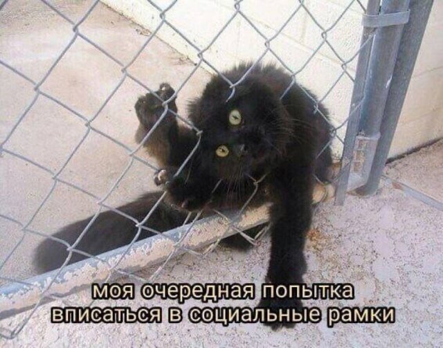 Лучшие шутки и мемы из Сети - 06.11.2025