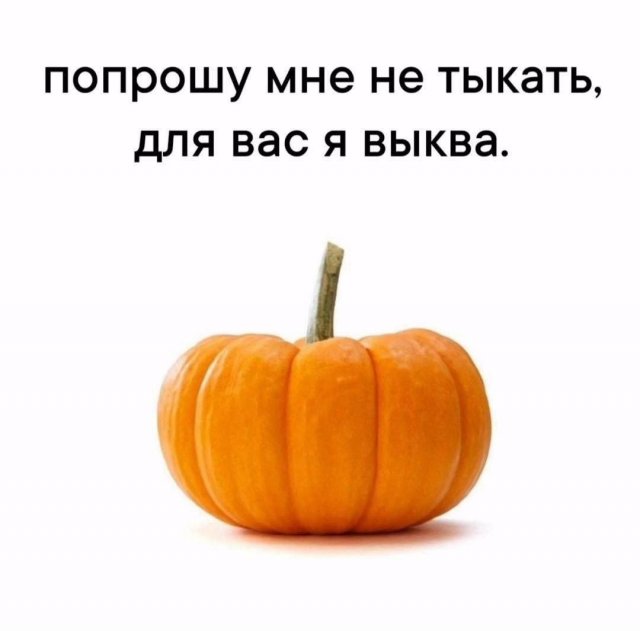 Лучшие шутки и мемы из Сети - 06.11.2025