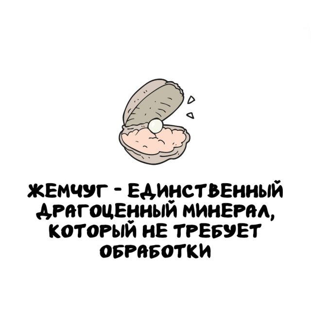 Интересные факты на все случаи жизни