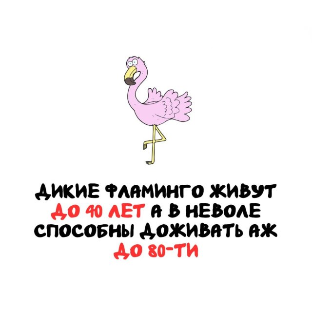 Интересные факты на все случаи жизни