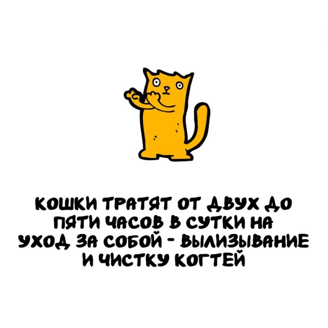 Интересные факты на все случаи жизни