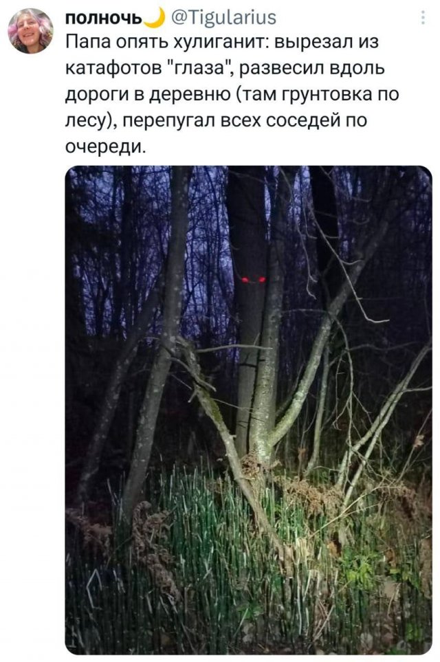 Подборка забавных твитов обо всем