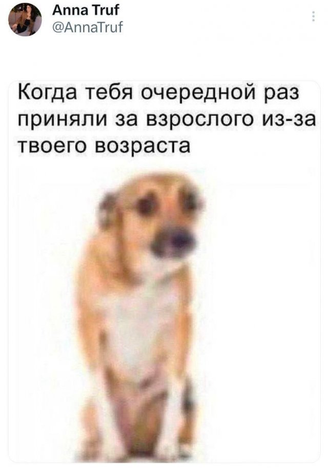 Подборка забавных твитов обо всем