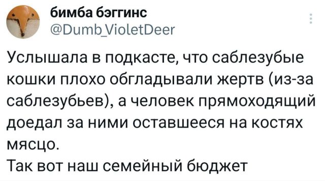 Подборка забавных твитов обо всем