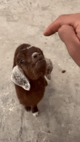 Подборка гифок -  07.11.2025