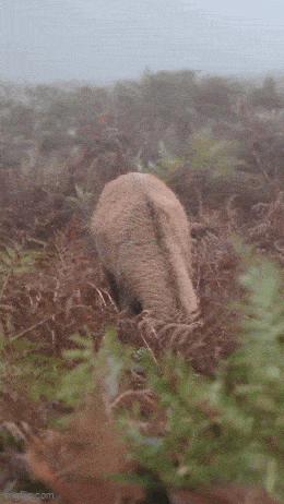 Подборка гифок -  07.11.2025