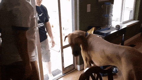 Подборка гифок -  07.11.2025