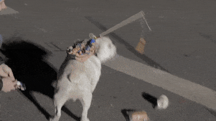 Подборка гифок -  07.11.2025