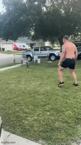 Подборка гифок -  07.11.2025