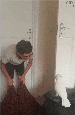 Подборка гифок -  07.11.2025