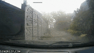 Подборка гифок -  07.11.2025