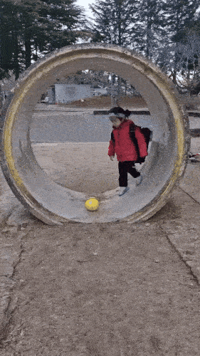 Подборка гифок -  07.11.2025