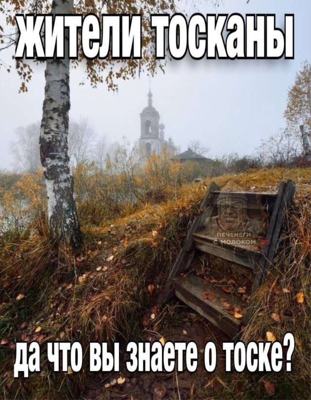 Смешные мемы - 07.11.2025