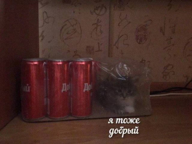 Смешные мемы - 07.11.2025