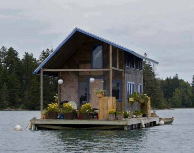 Подборка картинок. Вечерний выпуск - 07.11.2025