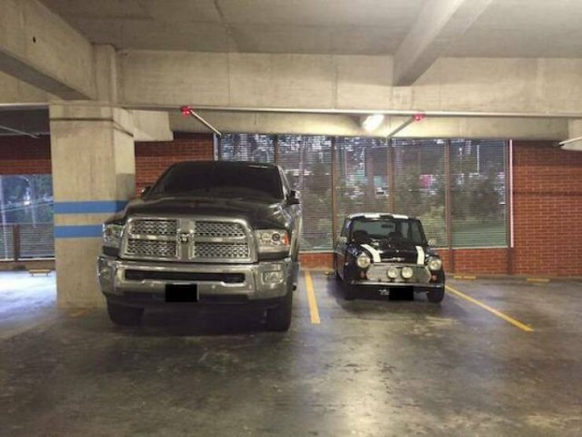 Подборка картинок. Вечерний выпуск - 07.11.2025