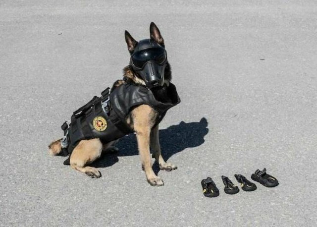 Подборка картинок. Вечерний выпуск - 07.11.2025