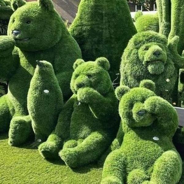 Подборка картинок. Вечерний выпуск - 07.11.2025