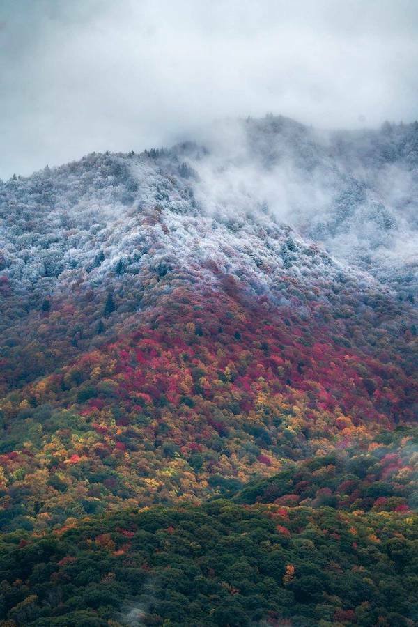Подборка картинок. Вечерний выпуск - 07.11.2025
