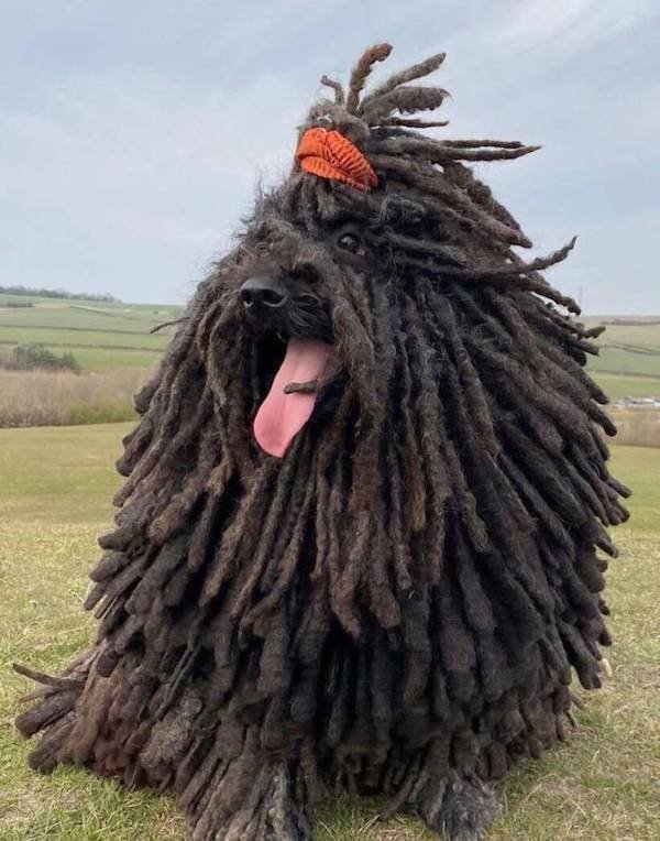 Подборка картинок. Вечерний выпуск - 07.11.2025