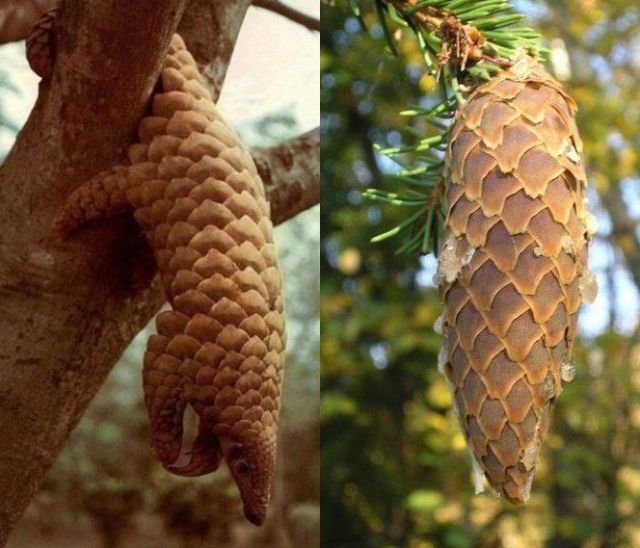 Подборка картинок. Вечерний выпуск - 07.11.2025